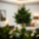 Luxurious faux evergreen shrub arrangement in a contemporary living room setting