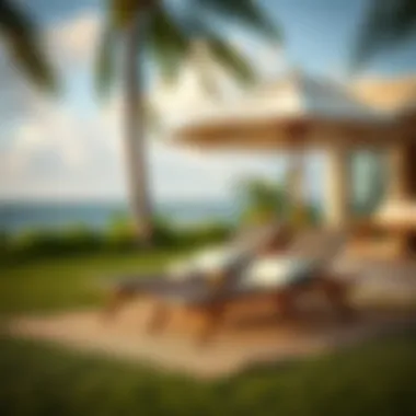 Maintenance tips visually represented for lawn loungers