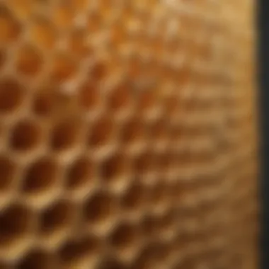 Close-up view of honeycomb structure showcasing energy efficiency