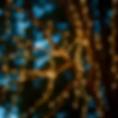 Artistic arrangement of string lights in tree branches