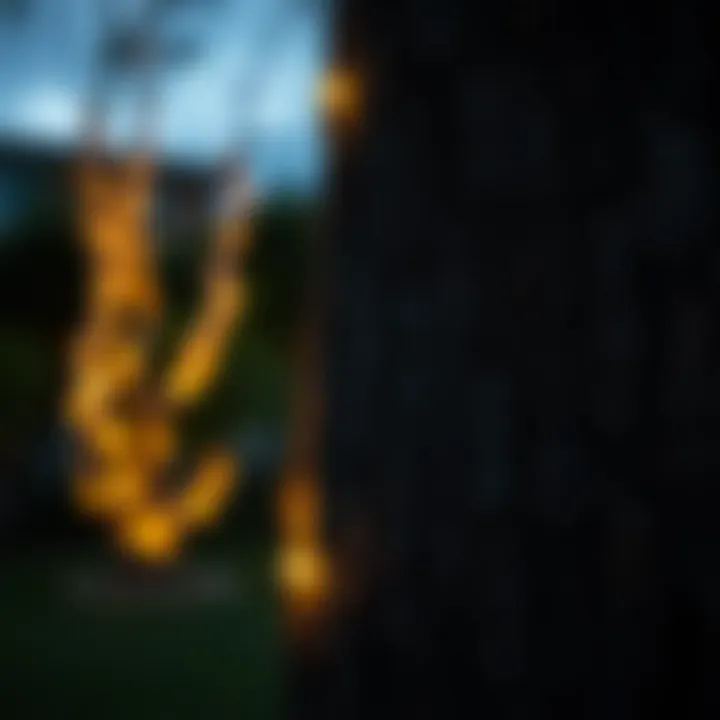 Close-up of a tree trunk adorned with subtle lighting