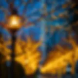 Elegant tree lighting showcasing warm hues