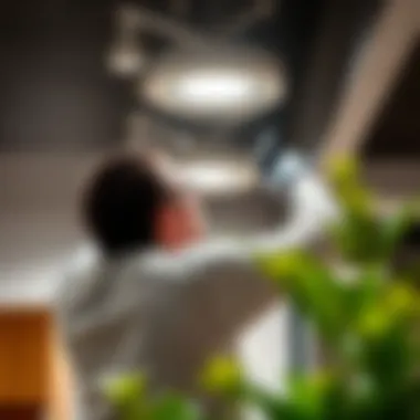 A technician installing LED screw lights in a commercial setting