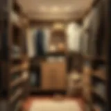 Innovative closet storage solutions for compact spaces