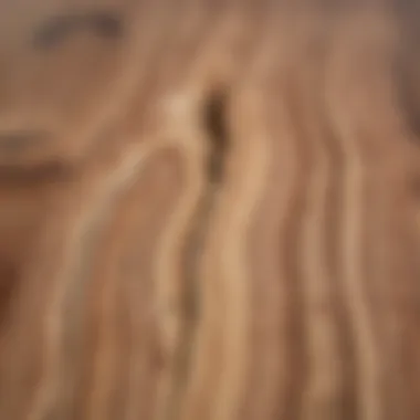 Natural Wood Texture Detail Close-up of the rich texture and grain of natural wood.