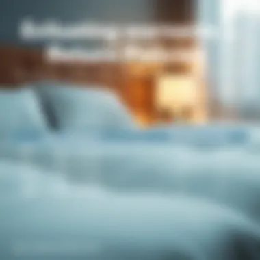 A graph comparing warranty and return policies for mattresses