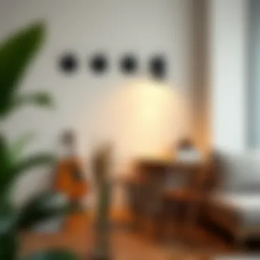 Room and Board Wall Hooks: Practical Solutions for Space Management Summary