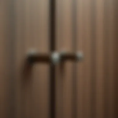 Enhancing Contemporary Interior with Stainless Steel Handles Stainless steel handle enhancing contemporary interior decor