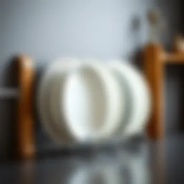 Variety of Vertical Plate Holder Styles Different styles of vertical plate holders in various materials