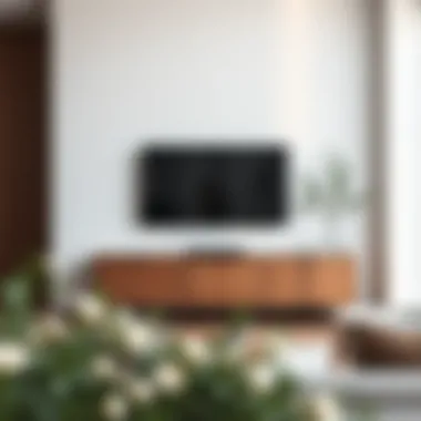 Minimalism: Enhancing Spatial Dynamics with Tall TV Consoles Minimalist tall TV console in a serene space