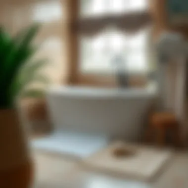 The Comprehensive Guide to Bathtub Suction Mats Summary
