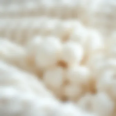 Close-up of cotton fibers highlighting their natural properties