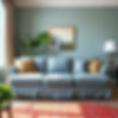 Before and after using a couch cover