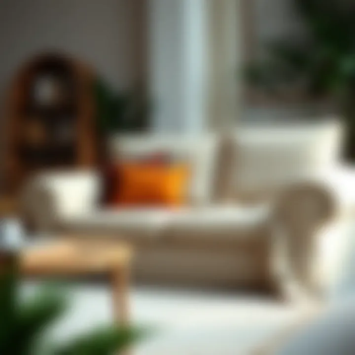 Couch cover maintenance and care tips