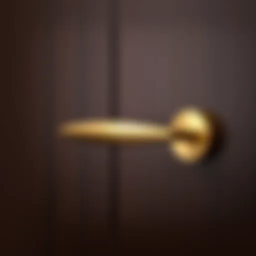 Elegant gold cabinet handle against a dark wood background