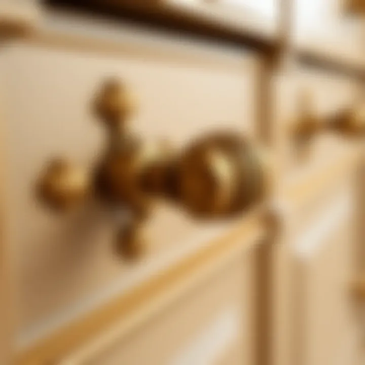 Close-up of gold cabinet hardware showcasing intricate design