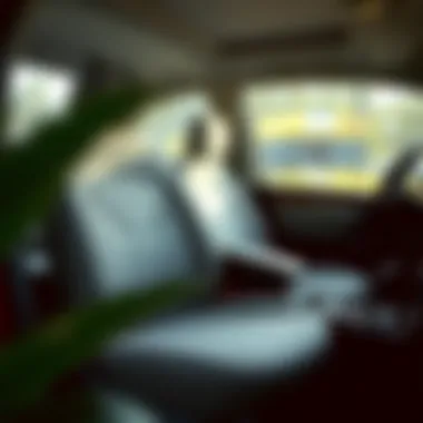 The Comprehensive Guide to Stretch Seat Covers Summary