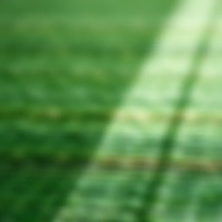 Close-Up of Green Stripe Design and Texture Close-up of green stripe pattern showcasing texture and design