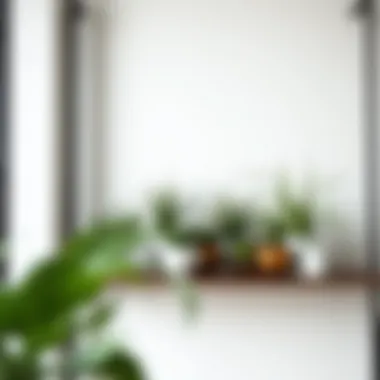 Innovative Shelf Display of Fake Air Plants Creative arrangement of fake air plants on a stylish shelf