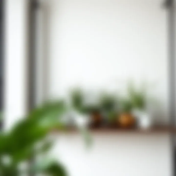 Innovative Shelf Display of Fake Air Plants Creative arrangement of fake air plants on a stylish shelf