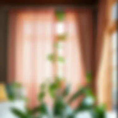 Notable The Intricacies of Seersucker Curtains: A Comprehensive Guide
