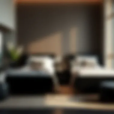 The Multifaceted Appeal of Black Bed Sets for Twin Beds Summary