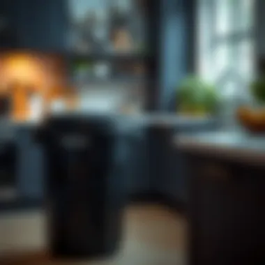 Notable The Role of Black Garbage Cans in Kitchen Design and Utility