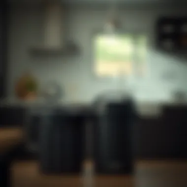 The Role of Black Garbage Cans in Kitchen Design and Utility Summary The Role of Black Garbage Cans in Kitchen Design and Utility Summary