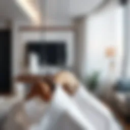 The Significance of Hotel Style Hangers in Modern Decor Introduction