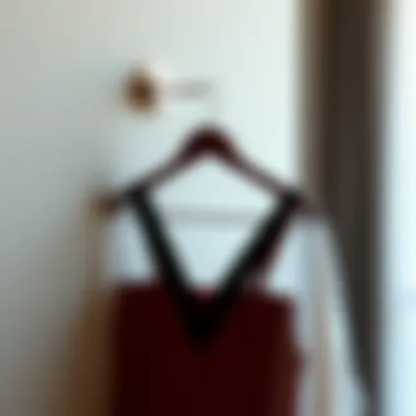 Notable The Significance of Hotel Style Hangers in Modern Decor