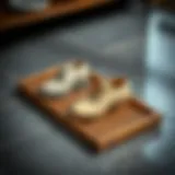 The Utility and Design of Trays for Wet Shoes Introduction