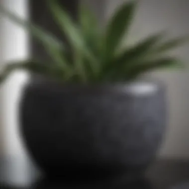 Close-up of black planter materials, displaying texture and finish