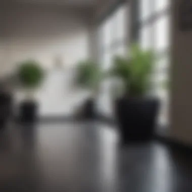 A serene corner featuring black indoor planters and indoor plants