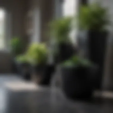 Diverse Styles of Black Planters Various styles of black planters showcasing their aesthetic versatility