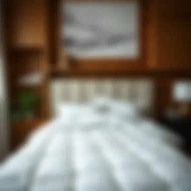 Notable The Versatility of a White Cotton Quilt Twin: A Comprehensive Guide Notable The Versatility of a White Cotton Quilt Twin: A Comprehensive Guide