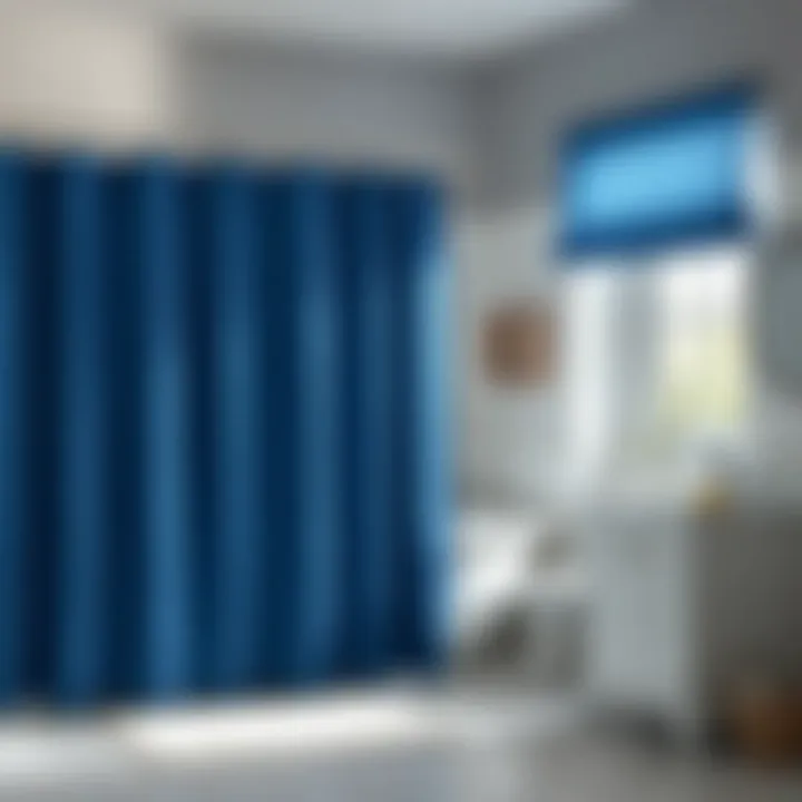 Diversity of Blue Shower Curtain Designs Variety of blue shower curtain designs showcasing style diversity