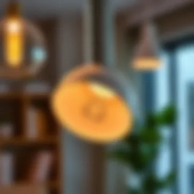 Close-up of a gooseneck light showcasing design features