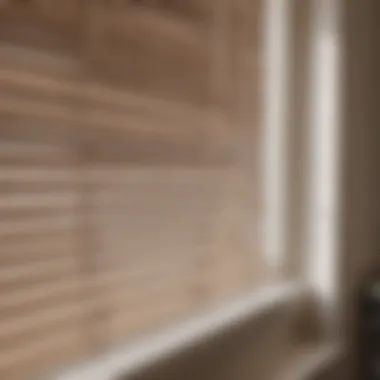 Seamless Installation of Window Blinds An expert installing trim to size blinds with care.