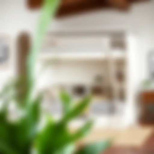 Elegant twin over full Murphy bunk bed design