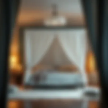 A practical guide showcasing bed tent maintenance tips