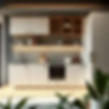 Notable Virtual Cabinet Design: A New Frontier in Home Furnishing