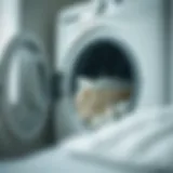 Washing machine with bed sheets