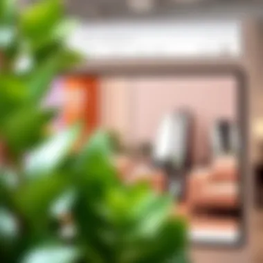 Online Marketplace for Full Body Mirrors Online shopping interface displaying full body mirrors