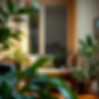 Inviting Window Bench Surrounded by Plants Cozy window bench adorned with houseplants